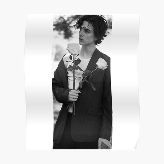 Discover Timothee Chalamet Poster Premium Matte Vertical Poster