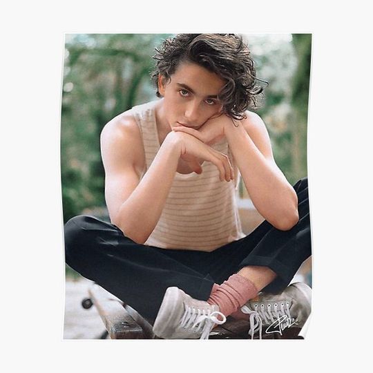 Discover Timothee Chalamet Premium Matte Vertical Poster