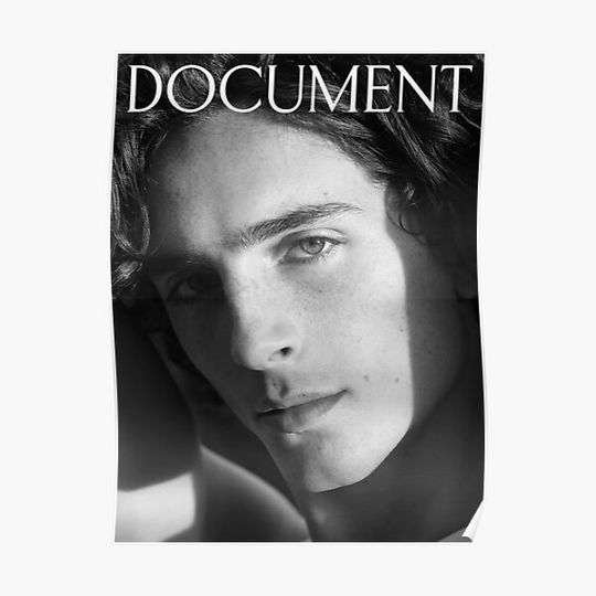 Discover Timothee Premium Matte Vertical Poster