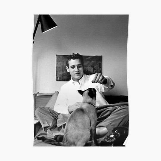 Discover Paul Newman & kitty Premium Matte Vertical Poster