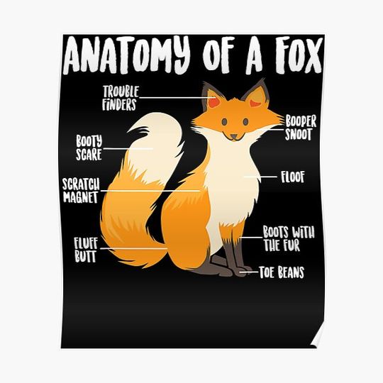 Discover Anatomy Of A Fox Premium Matte Vertical Poster