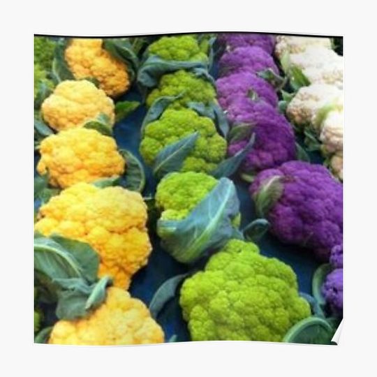 Discover Beautiful coloured cauliflower. Premium Matte Vertical Poster