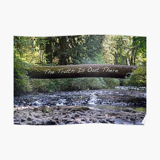Discover The Truth Is Out There - Trees Premium Matte Vertical Poster