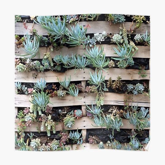 Discover DIY Pallet Succulent Garden Wall Premium Matte Vertical Poster
