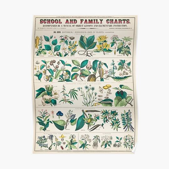 Discover Botanical Print Witchcraft Grimoire Book Of Shadows Premium Matte Vertical Posters