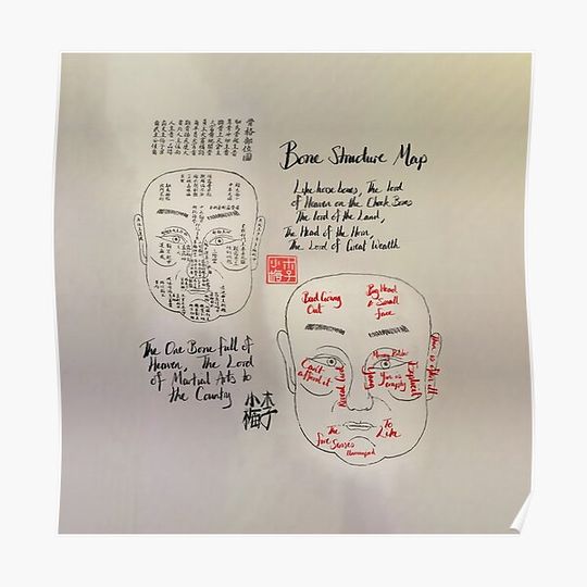 Discover Chinese Physiognomy Bone Features Map Fortune Telling Premium Matte Vertical Poster