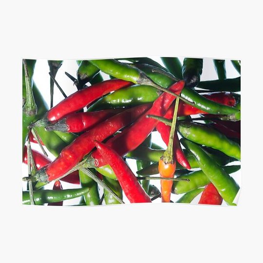 Discover Chilli Riot Premium Matte Vertical Poster