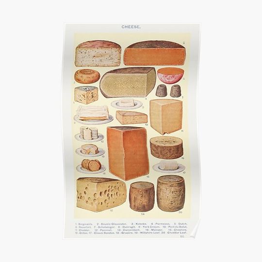 Discover Vintage Cheeses of the World Illustration from Mrs.  Beeton's Book of Household Management Premium Matte Vertical Poster