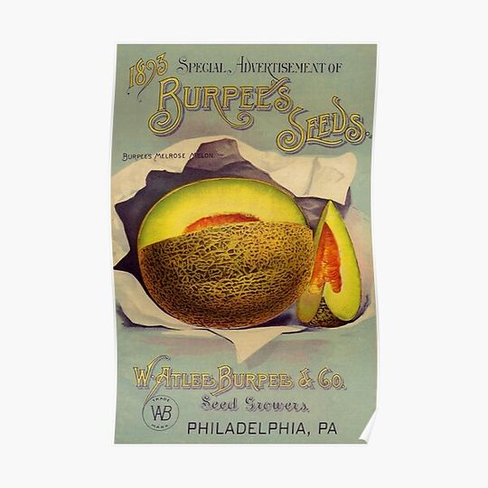 Discover Vintage Seed advertisement melrose melons kitchen decor Premium Matte Vertical Poster
