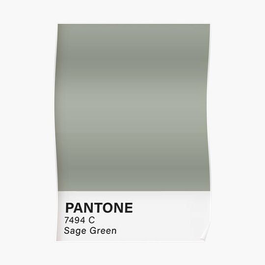 Discover Sage Green Premium Matte Vertical Poster