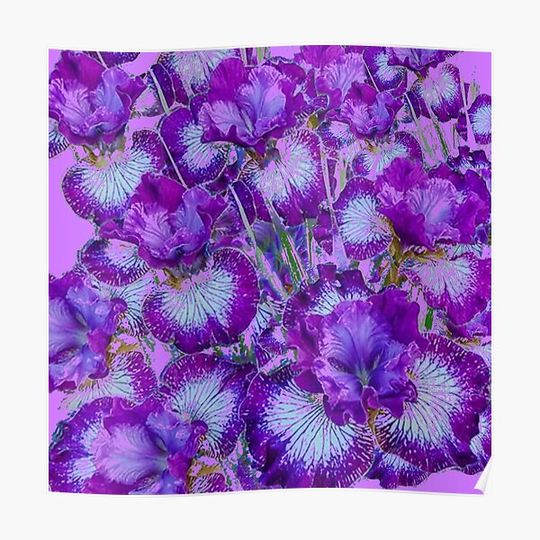 Discover LILAC PURPLE SIBERIAN IRIS FLOWERS GARDEN ART Premium Matte Vertical Poster