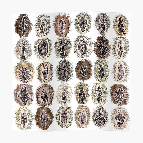 Discover Vulva Diversity Vaginas Premium Matte Vertical Poster