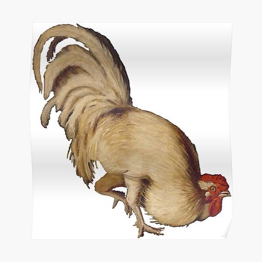 Discover vintage chicken Premium Matte Vertical Poster