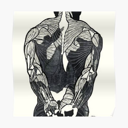 Discover Attractive Body Premium Matte Vertical Poster