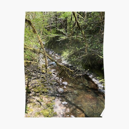 Discover Up the creek Premium Matte Vertical Poster