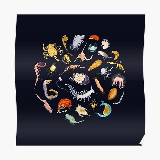 Discover Plankton Premium Matte Vertical Poster