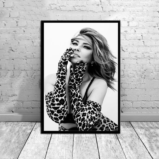 Discover Shania Twain,Music Poster,Vintage Poster