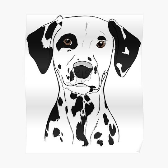 Discover Dalmatian Premium Matte Vertical Poster