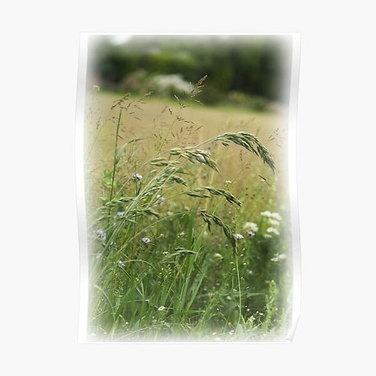 Discover Grasses Premium Matte Vertical Poster