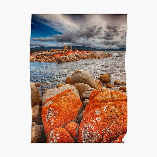 Discover Binalong Bay Premium Matte Vertical Poster
