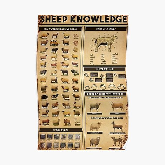 Discover sheep knowledge poster Premium Matte Vertical Poster