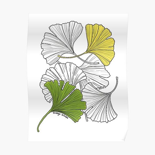 Discover Ginkgo Leaves-color Premium Matte Vertical Poster
