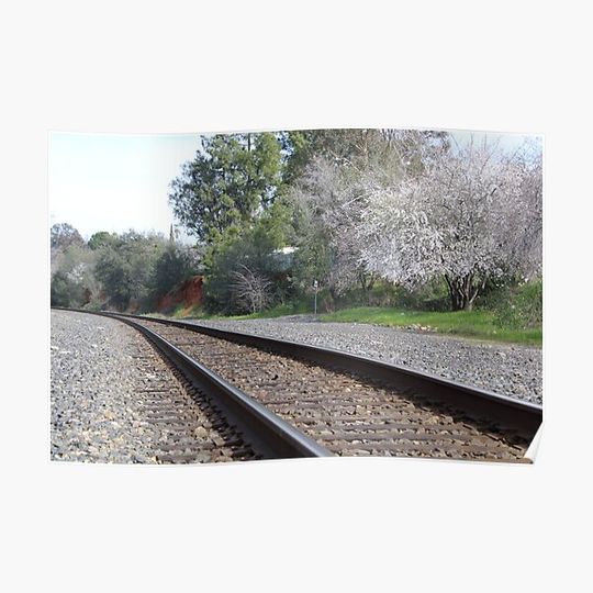 Discover Following The Tracks Premium Matte Vertical Poster