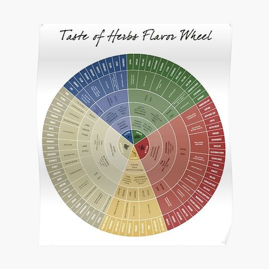 Discover Pop Chart Taste of Herbs Flavor Wheel Premium Matte Vertical Poster