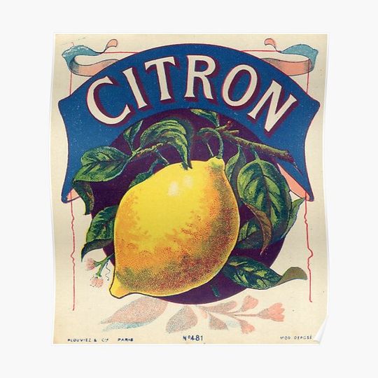 Discover Citron Vintage French Fruit Label Premium Matte Vertical Poster
