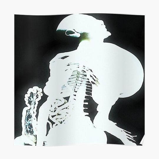 Discover Arca Entrañas Premium Matte Vertical Poster