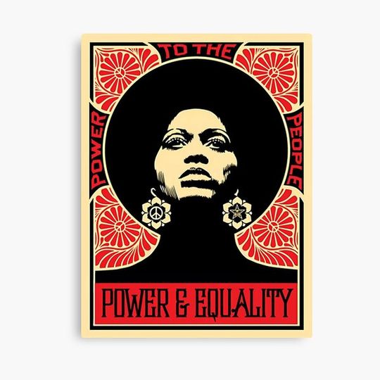 Discover Shepard Power And Equality Angela Canvas
