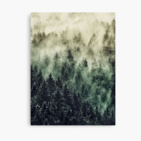 Discover Everyday // Gimme Some Fetysh Canvas