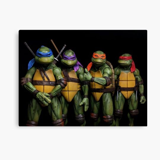 Discover Turtle Team Canvas