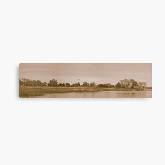 Discover Murrells Inlet, South Carolina, United States Canvas