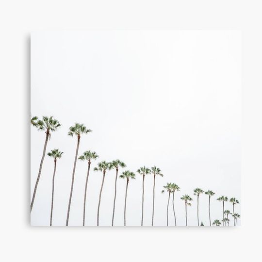 Discover san diego palms Canvas
