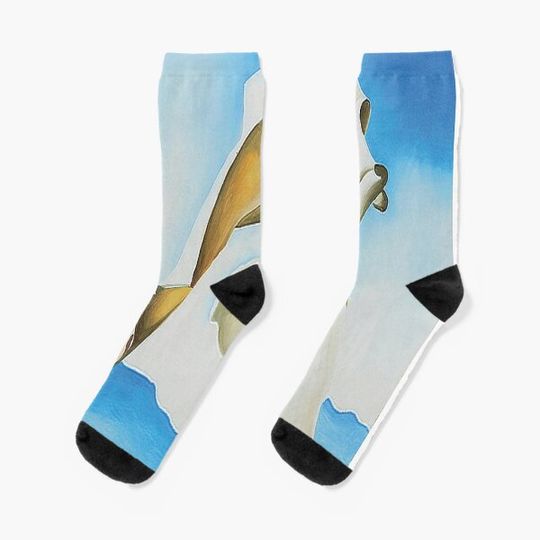 Discover Pelvis with the Distance Socks