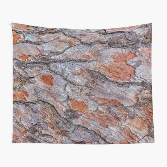 Discover Eucalyptus Tree Bark Tapestry