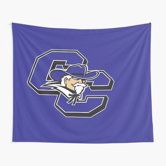 Discover Curry College Colonels Tapestry