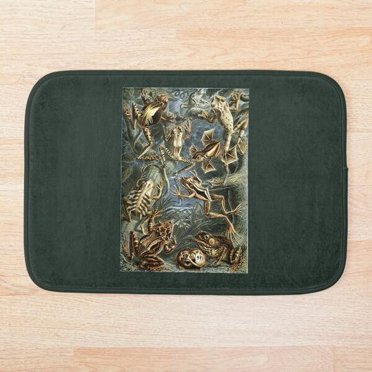 Discover Frogs and toads vintage illustration Bath Mat
