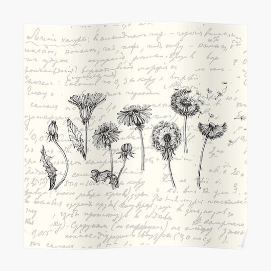 Discover Handwriting and dandelions Premium Matte Vertical Poster