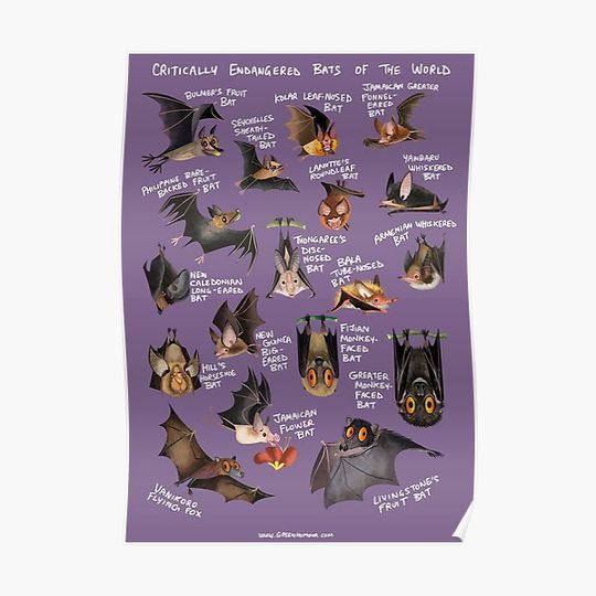 Discover Critically Endangered Bats of the World Premium Matte Vertical Poster