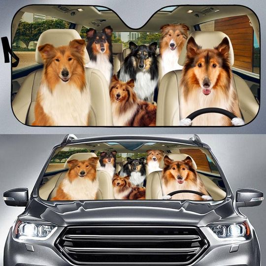 Discover Rough Collie Car Sun Shade Collection