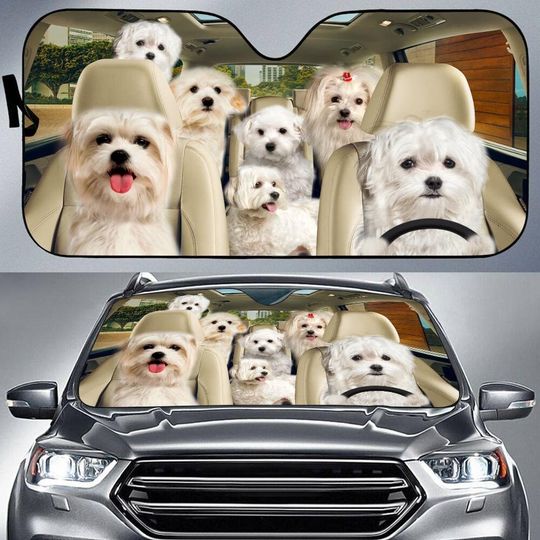Discover Maltese Car Sun Shade Collection
