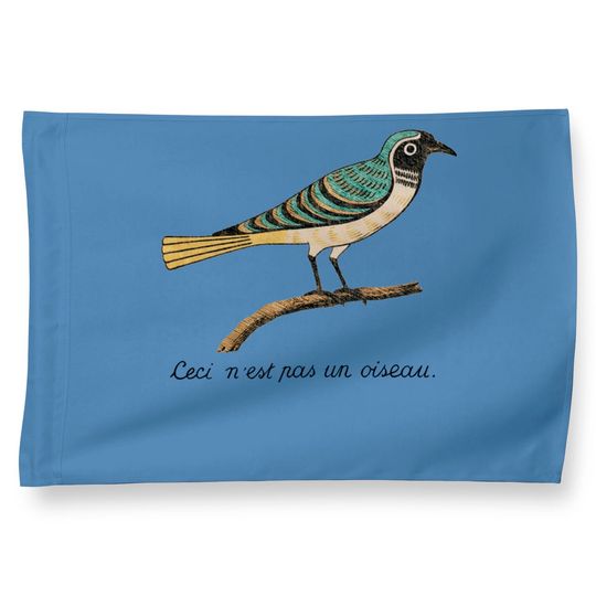 Discover Birds Aren't Real - Ceci n'est pas un oiseau House Flags