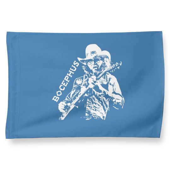 Discover Hank Williams Jr Vintage Country Music Sr. Outlaw 70s 80s Rock House Flags