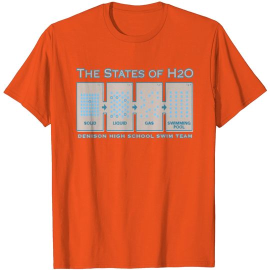 Discover DENISON HIGH SCHOOL SWIM TEAM T Shirt