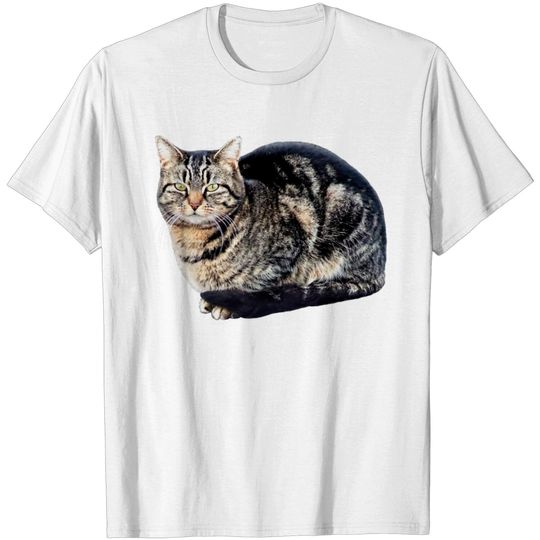 Discover Tabby Cat Sitting T Shirt