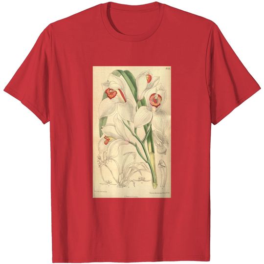 Discover Cymbidium Erythrostylum Curtis' 133 (Ser. 4 No. 3 T Shirt