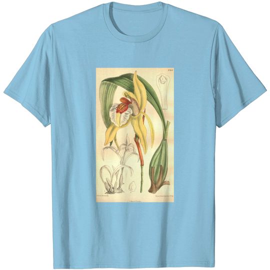 Discover Coelogyne Lawrenceana Curtis' 133 (Ser. 4 No. 3) T Shirt