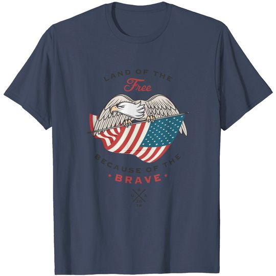 Discover USA Flag T Shirt